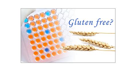 elisa gluten test method|gluten detection testing.